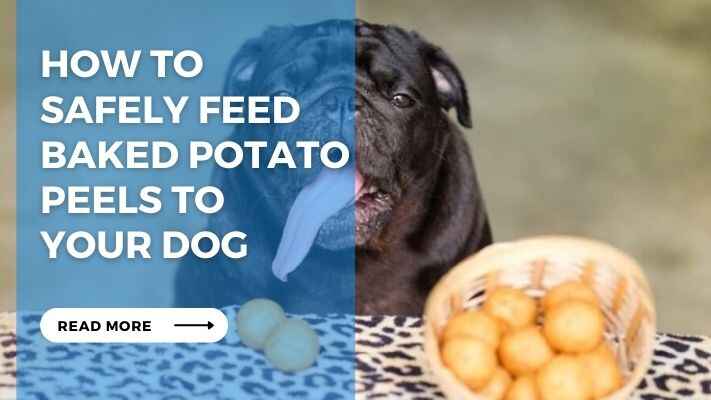 How to Safely Feed Baked Potato Peels to Your Dog