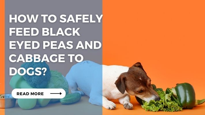 How to Safely Feed Black Eyed Peas and Cabbage to Dogs