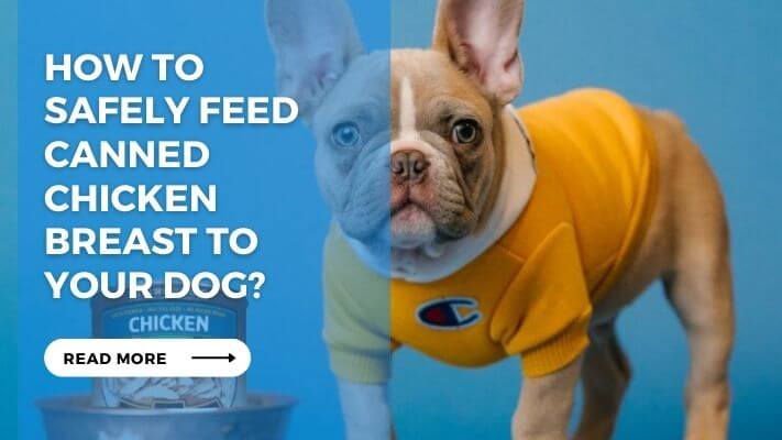 How to Safely Feed Canned Chicken Breast to Your Dog