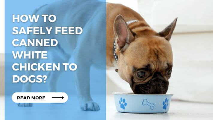 How to Safely Feed Canned White Chicken to Dogs