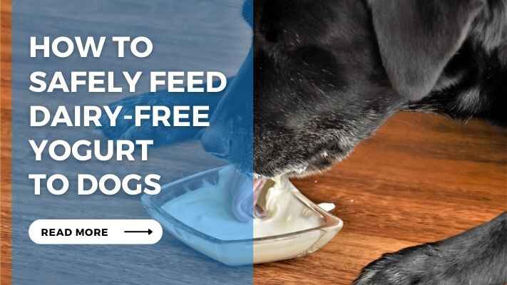 How to Safely Feed Dairy Free Yogurt to Dogs