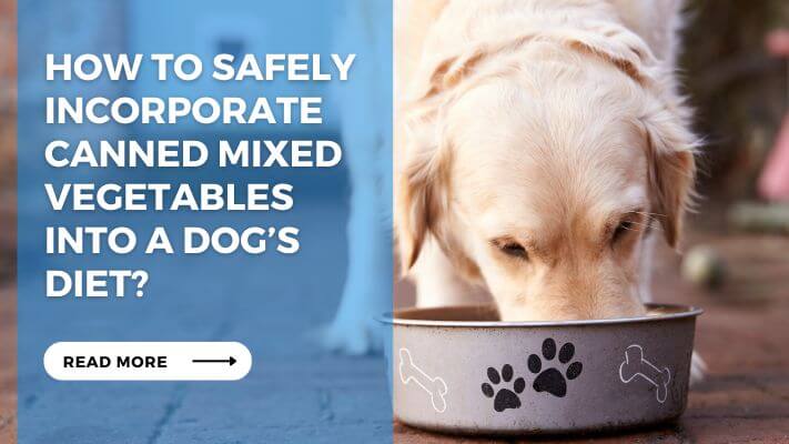 How to Safely Incorporate Canned Mixed Vegetables into a Dog’s Diet