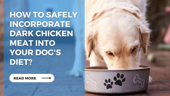 How to Safely Incorporate Dark Chicken Meat into Your Dog's Diet