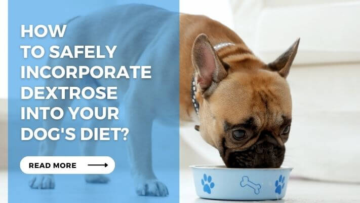 How to Safely Incorporate Dextrose into Your Dog's Diet