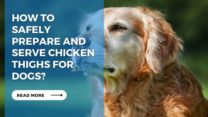 How to Safely Prepare and Serve Chicken Thighs for Dogs