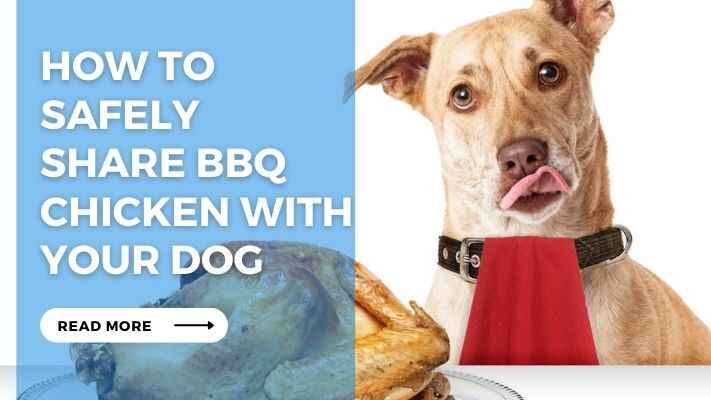 How to Safely Share BBQ Chicken with Your Dog