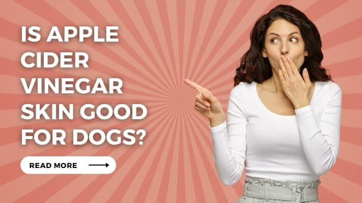Is Apple Cider Vinegar Skin Good for Dogs