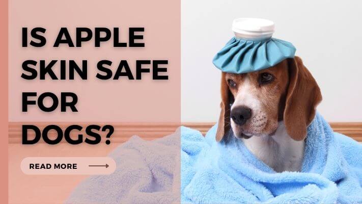 Is Apple Skin Safe for Dogs