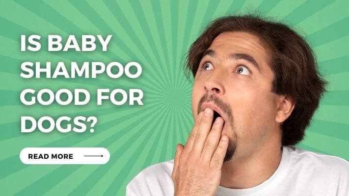 Is Baby Shampoo Good for Dogs