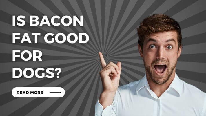 Is Bacon Fat Good for Dogs