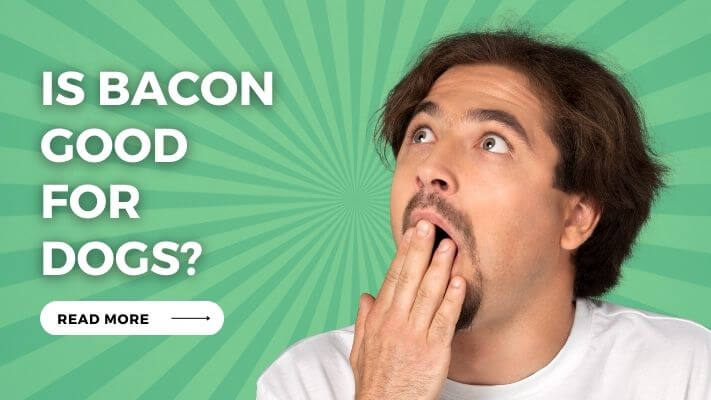 Is Bacon Good for Dogs