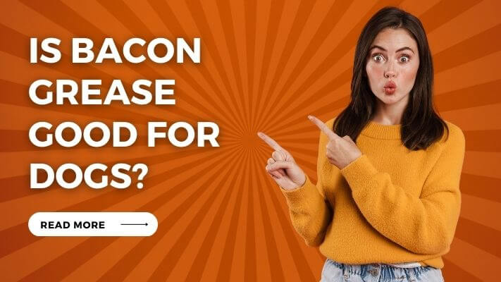 Is Bacon Grease Good for Dogs