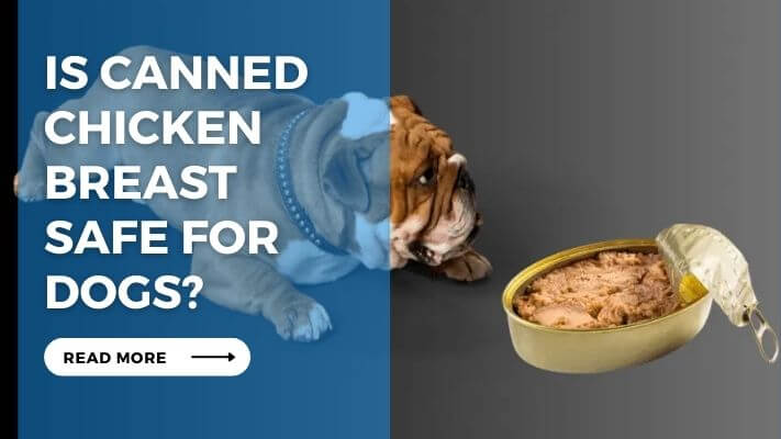 Is Canned Chicken Breast Safe for Dogs