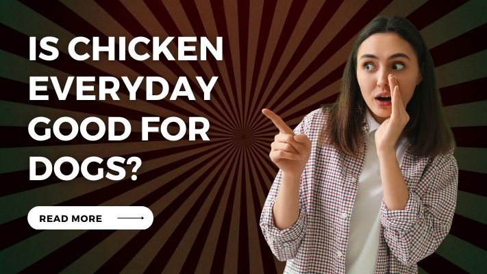 Is Chicken Everyday Good for Dogs