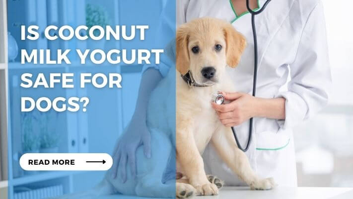 Is Coconut Milk Yogurt Safe for Dogs