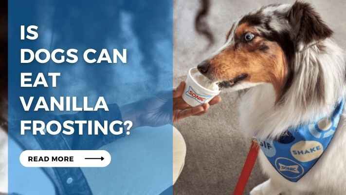 Is Dogs Can Eat Vanilla Frosting