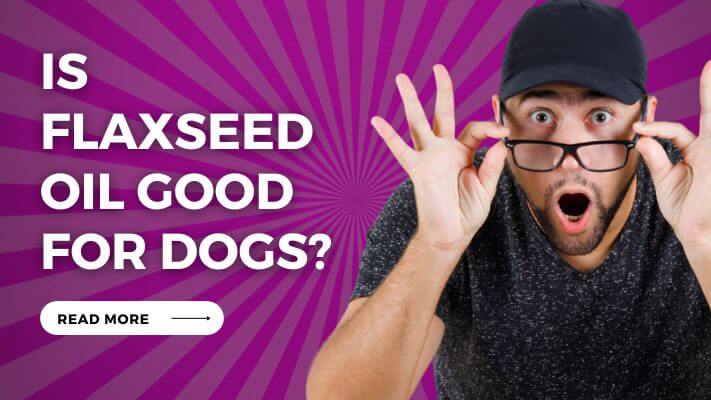 Is Flaxseed Oil Good for Dogs