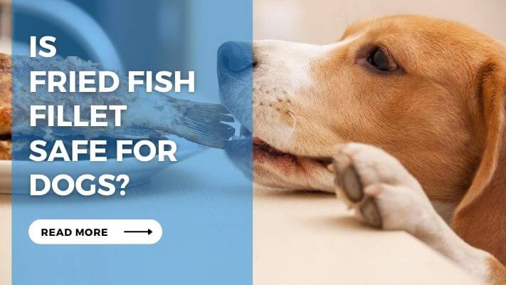 Is Fried Fish Fillet Safe for Dogs