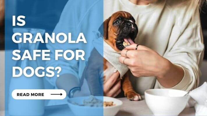 Is Granola Safe for Dog