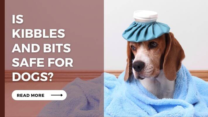 IS Kibbles and Bits Safe For Dogs?