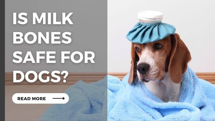 Is Milk Bones  Safe for Dogs