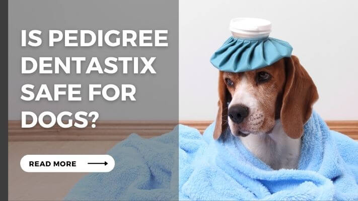 Is Pedigree Dentastix Safe for Dogs