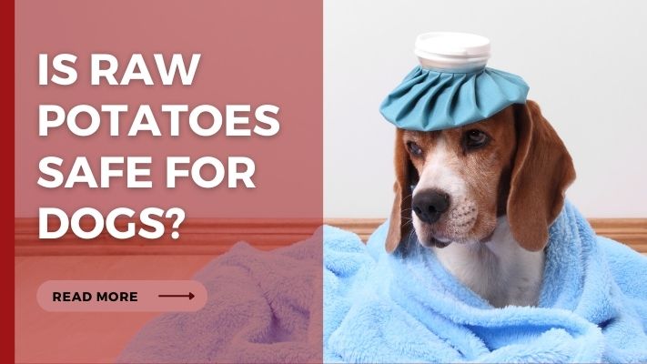 Is Raw Potatoes Safe for Dogs