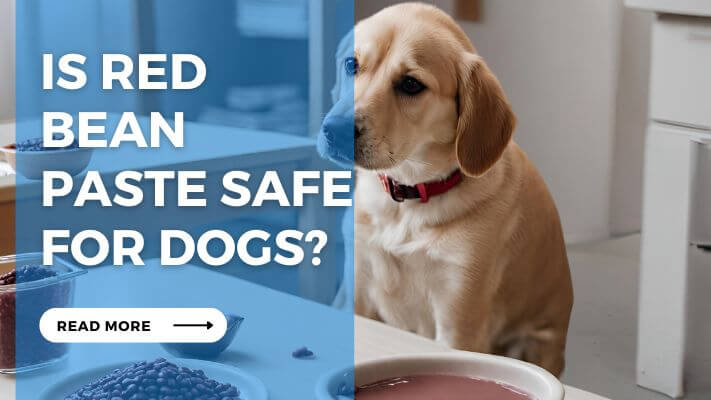 Is Red Bean Paste Safe for Dogs