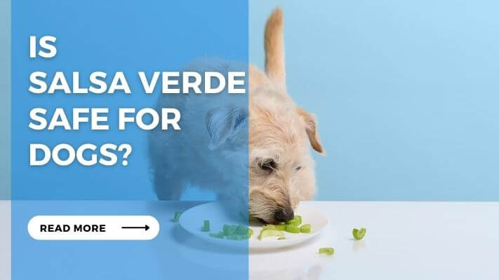 Is Salsa Verde Safe for Dogs