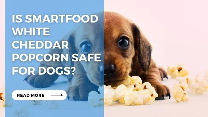 Is Smartfood White Cheddar Popcorn Safe for Dogs