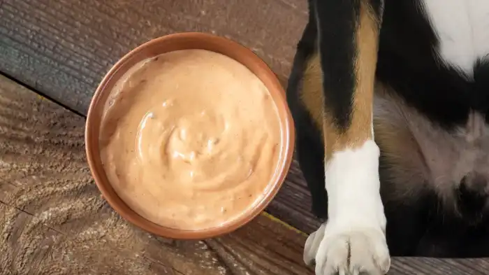 Is Thousand Island Dressing Safe for Dogs?