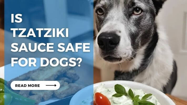 Is Tzatziki Sauce Safe for Dogs