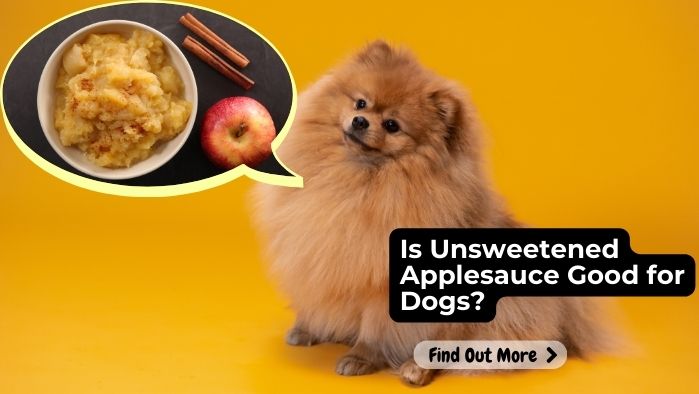 Is Unsweetened Applesauce Good for Dogs