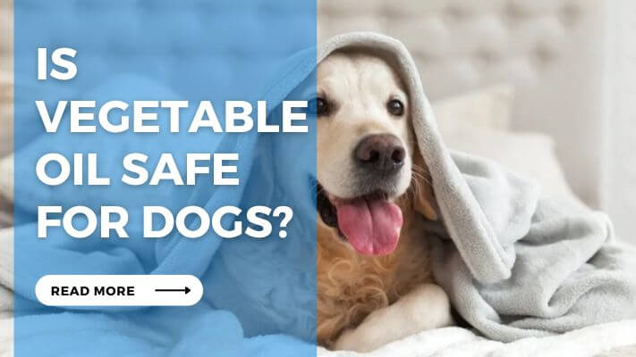 Is Vegetable Oil Safe For Dogs