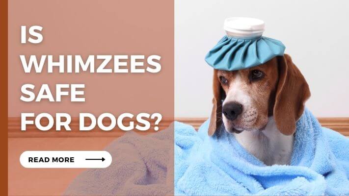 Is Whimzees Safe For Dogs?