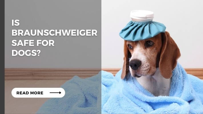 Is braunschweiger Safe for  Dogs