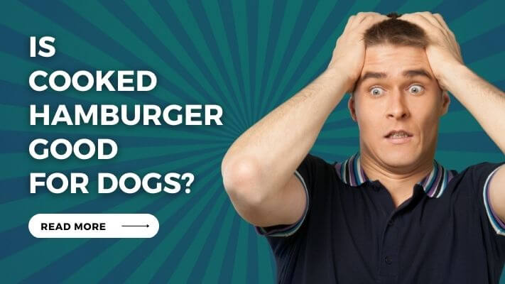 Is cooked hamburger Good for Dogs