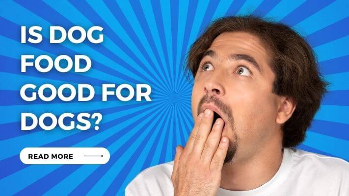 Is dog food Good for Dogs