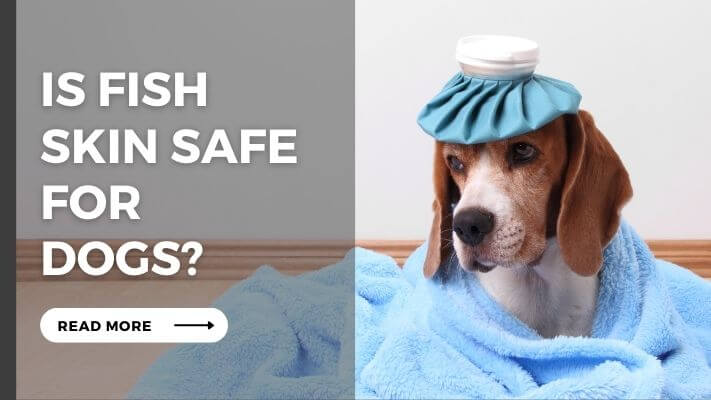 Is Fish Skin Safe For Dogs