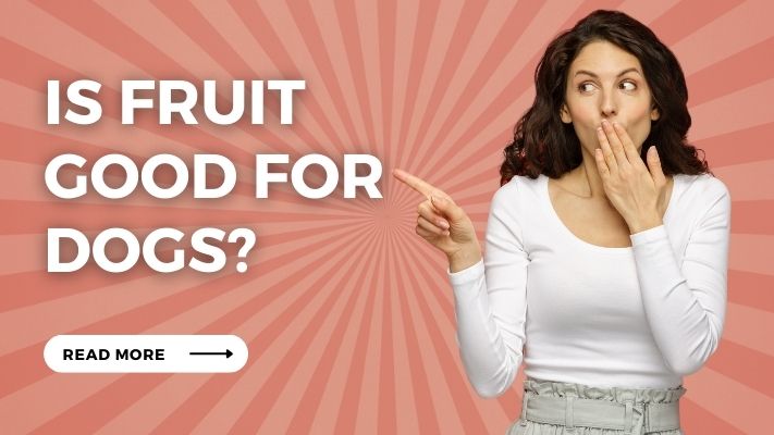 Is fruit Good for Dogs