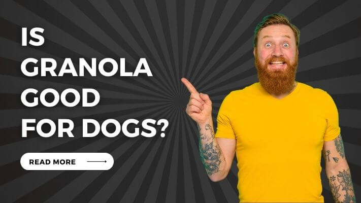 Is granola Good for Dogs