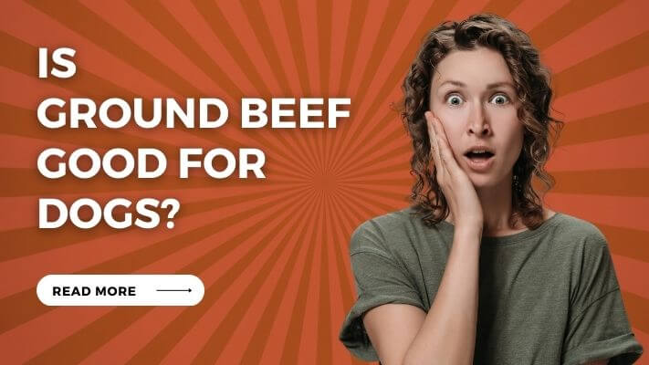 Is Ground Beef Good for Dogs