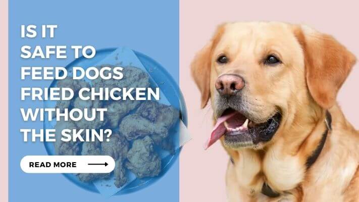 Is it Safe to Feed Dogs Fried Chicken Without the Skin