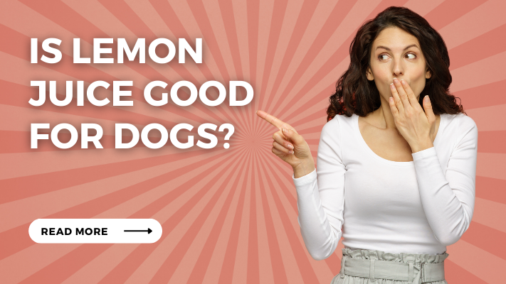 Is lemon juice Good for Dogs