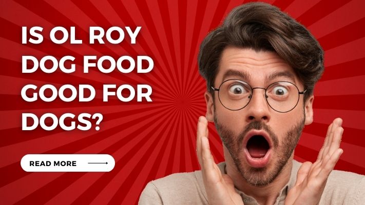 Is ol roy dog food Good for Dogs