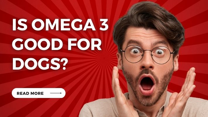 Is omega 3 Good for Dogs