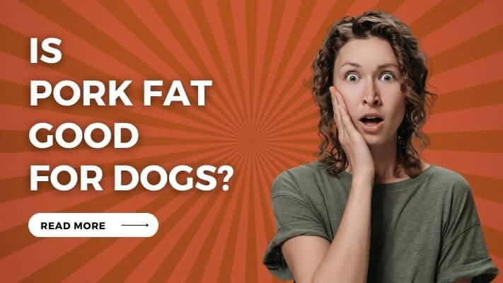 Is Pork Fat Good for Dogs