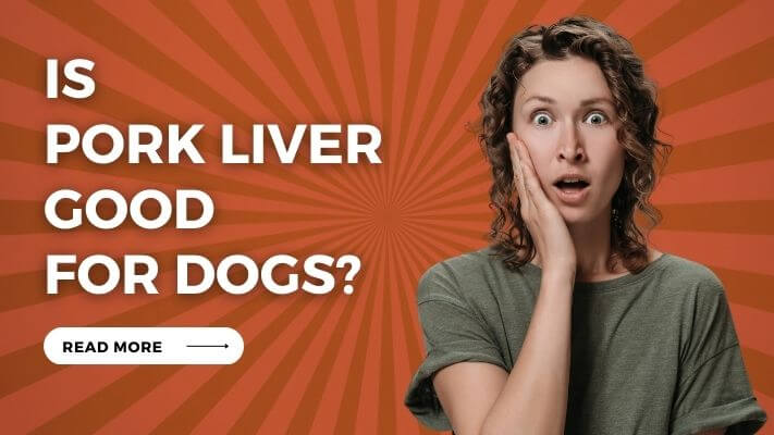 Is Pork Liver Good for Dogs