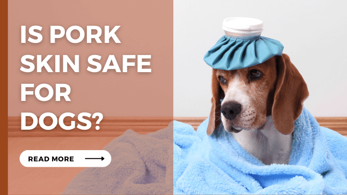 Is Pork Skin Safe For Dogs