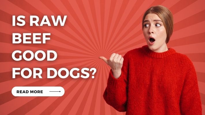 Is raw beef Good for Dogs